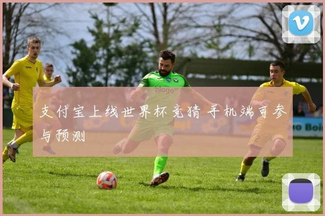 支付宝上线世界杯竞猜 手机端可参与预测