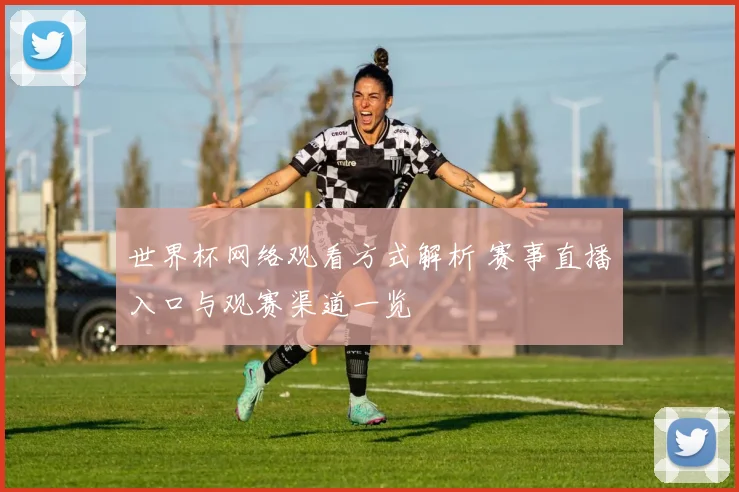 世界杯网络观看方式解析 赛事直播入口与观赛渠道一览