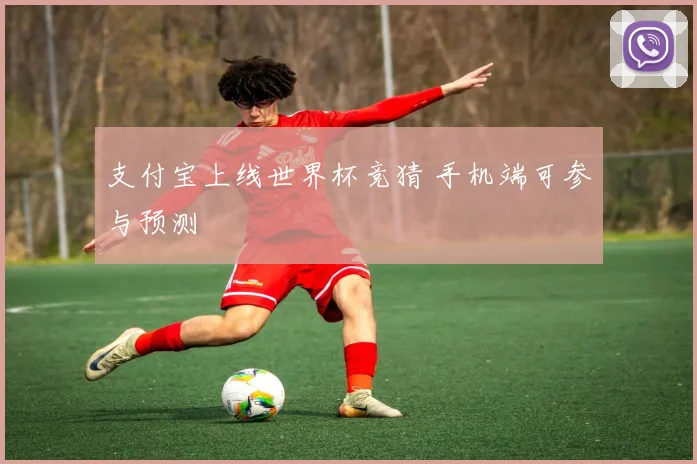 支付宝上线世界杯竞猜 手机端可参与预测