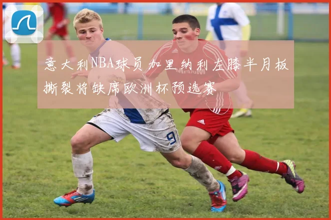 意大利NBA球员加里纳利左膝半月板撕裂将缺席欧洲杯预选赛