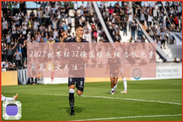 2022世界杯32强国旗亮相 各队元素一览备受关注_1