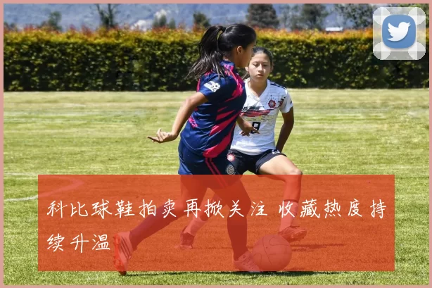 科比球鞋拍卖再掀关注 收藏热度持续升温