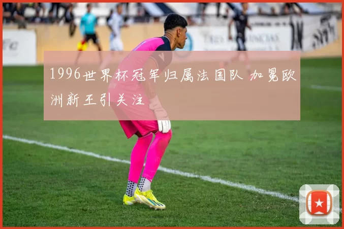 1996世界杯冠军归属法国队 加冕欧洲新王引关注