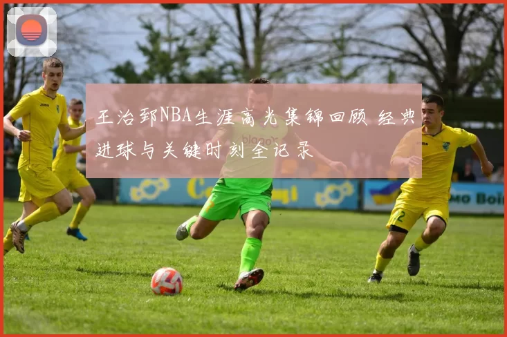 王治郅NBA生涯高光集锦回顾 经典进球与关键时刻全记录