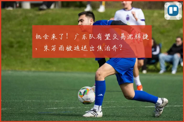 机会来了！广东队有望交易沈梓捷，朱芳雨被迫送出焦泊乔？